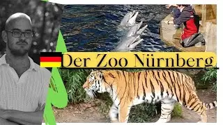 Ein Besuch im Zoo | Der Tiergarten Nürnberg | Tiger, Delifne & Gorillas