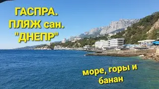 ГАСПРА. ПЛЯЖ санатория ДНЕПР. Любимый пляж местных жителей. ( Крым, Большая Ялта)