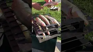 Копчение рыбы