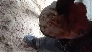 чистка копыт