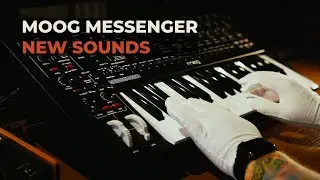 Moog Messenger Presets – Sound Demo | Modern Analog Synth Patches