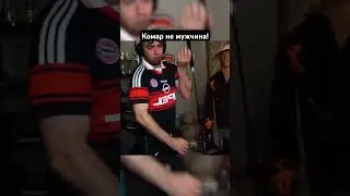 Комар не мужчина! 