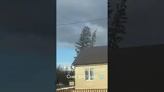 Сильный ветер