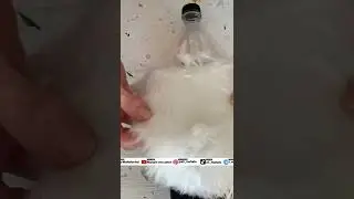 🦇 Cómo hacer un GNOMO con CALCETINES y MATERIAL RECICLADO - Decoraciones de HALLOWEEN - Murciélago