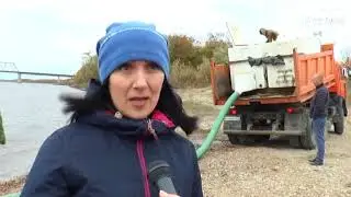 Компенсационные мероприятия по зарыблению реки Зея
