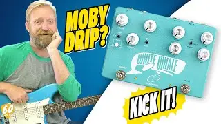 On the Hunt for MOBY DRIP! - Crazy Tube Circuits WHITE WHALE V2 - Reverb & Tremolo - 