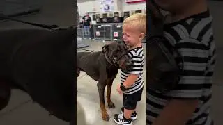 Little Boy Shares a Heartfelt Hug with Doberman at the Shelter