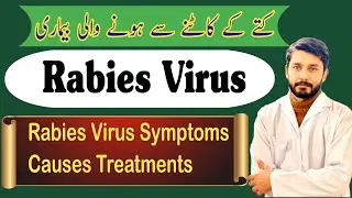 Rabies Virus ,causes,sign and symptoms ,treatments |کتے کے کاٹنے سے ہونے والی بیماری