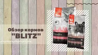 Обзор кормов для кошек и собак 