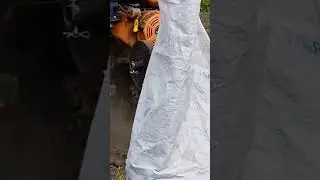 Уборка картофеля! Ульяновская область! 31.08.24