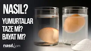 YUMURTANIN TAZE OLUP OLMADIĞI NASIL ANLAŞILIR? İŞTE BAYAT YUMURTAYI ANLAMAK İÇİN 5 TEST! 