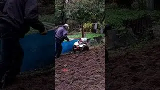 ШОК контент... Подготовка к зиме. Обработка земли мотоблоком 