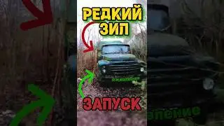 RARE ZIL, WILL BE STARTED?⁉️⚠️ 