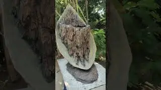 POT BONSAI SUREALISME,RELIEF TEBING‼️#potunik #potrelief #potpenjing