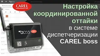 Инструкция: как настроить координированную оттайку в системе диспетчеризации CAREL boss