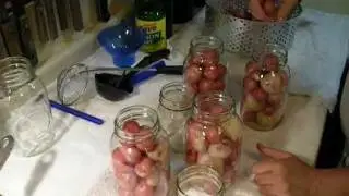 CANNING POTATOES