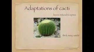IGCSE. 2.7  Plant adaptations to the environment.extended