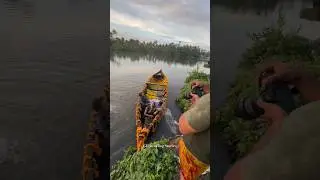 ക്യാമറമാനും  വെള്ളത്തിൽ ചാടട്ടെ 💕