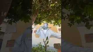 Street Art in Garbatella 🎨✨