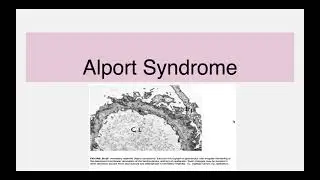 Alport Syndrome