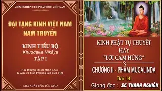 ĐẠI TẠNG KINH | KINH PHẬT TỰ THUYẾT HAY “LỜI CẢM HỨNG” | CHƯƠNG II - PHẨM MUCALINDA (BÀI 14)