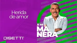 Hansel Camacho - Herida De Amor (Audio Oficial) | Salsa Romántica