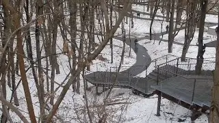 Перший сніг. 21 листопада, Харків.