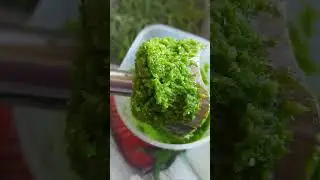 2 июня 2024 г.