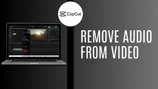 How To Remove Audio From Video In CapCut App 2024