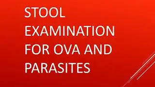 STOOL  ANALYSIS