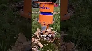 Tree stump removal 