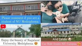 Inside Nagaland University Medziphema Campus | Nagaland Agriculture University #video -74 #nagaland