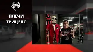 ПЛЕЧИ И ТРИЦЕПС / ФЦ СПЕКТР