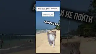 Несезон на ШРИ-ЛАНКЕ = ДОЖДИ?