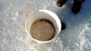Рыбалка детская(1)