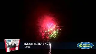 P7926 Фейерверк 