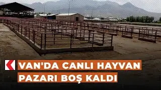 Van'da canlı hayvan pazarı boş kaldı