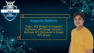 API Groups in Anypoint Platform | API Group Version | Multiple API Instances in Single API Group
