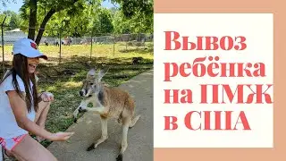 Вывоз ребёнка на ПМЖ в Америку