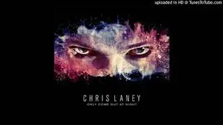 Chris Laney - B4 It Is 2 Late