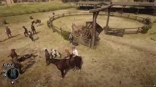 Bright Side? Free Horse!