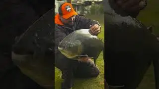 O manejo correto no inverno 🎣❄️      #pesca #pescaria #pescariaesportiva  #podcastpesca #podcast