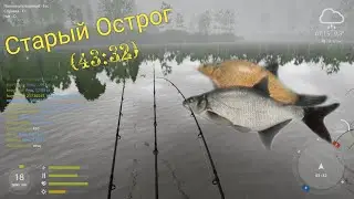 Лещь оз.Старый Острог(43:32)