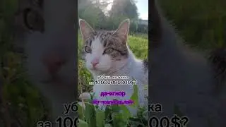 13 июня 2024 г.