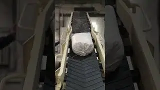 Truck bag loader