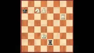 Chess Beauty #100