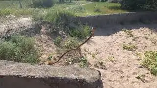 Заброшенный пляж Азовского моря