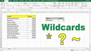 Excel Wildcards الرموز البديلة