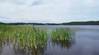 Pyhäjärvi, Karkkila. Озеро  Pyhäjärvi. 16 июля 2023 г.