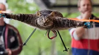 21 Cats You Won’t Believe Actually Exist! (#2)